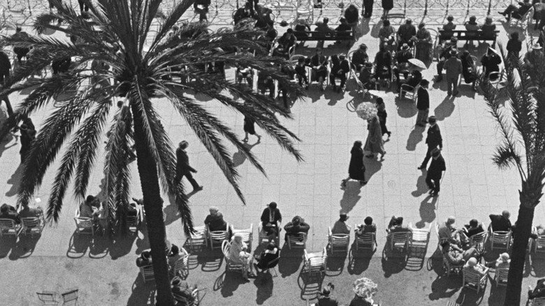 À propos de Nice backdrop 2