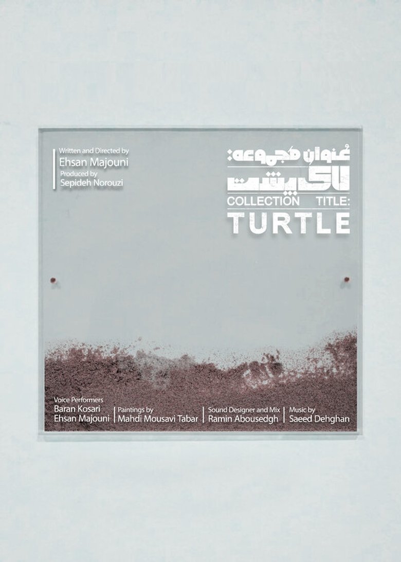 Collection Title: Turtle