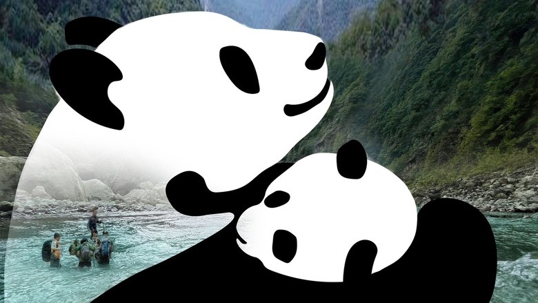 野性的守望