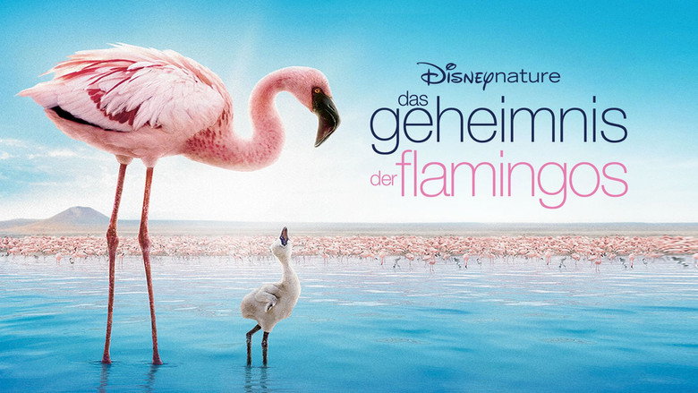 The Crimson Wing: Mystery of the Flamingos backdrop 1