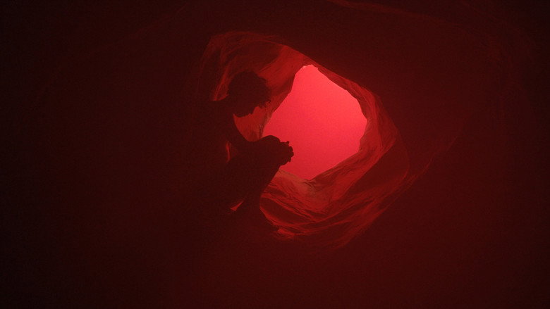 We Are the Flesh backdrop 2
