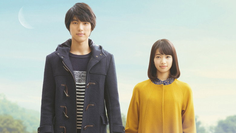 My Tomorrow, Your Yesterday backdrop 5