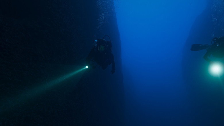 The Dive backdrop 8