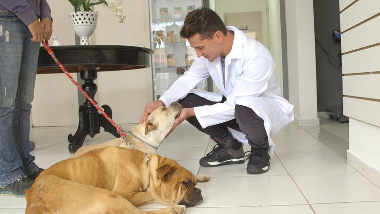 Cidade dos Cães