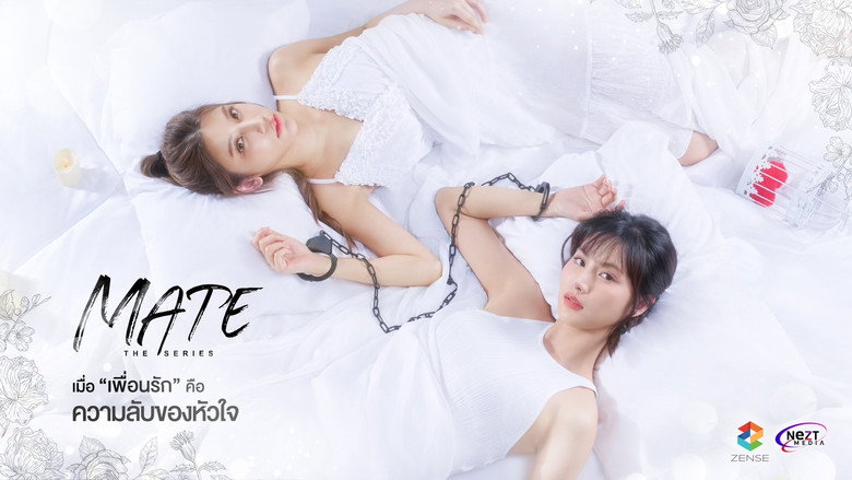 Mate backdrop 2