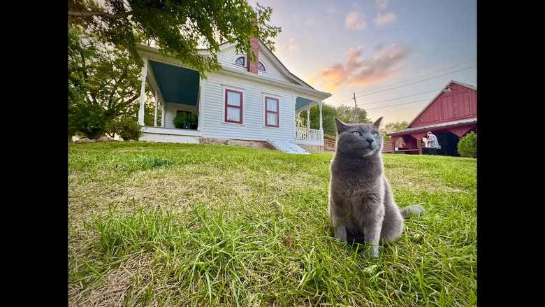 Red Letter Media Investigates: The Villisca Ax Murder House backdrop 1