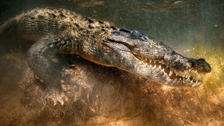 The Croc That Ate Jaws backdrop 5