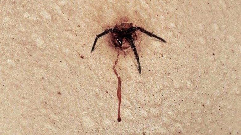 The Plague