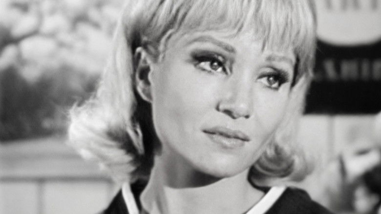 Episode #2.132 (pp-246)