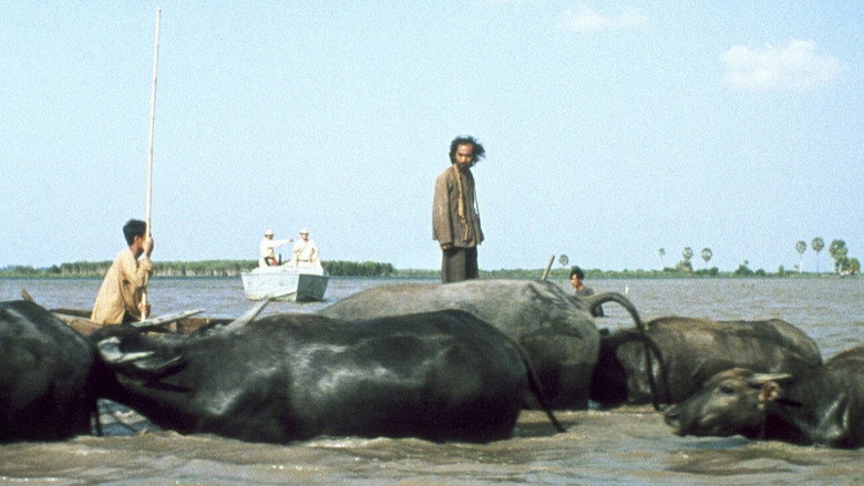 Buffalo Boy backdrop 2