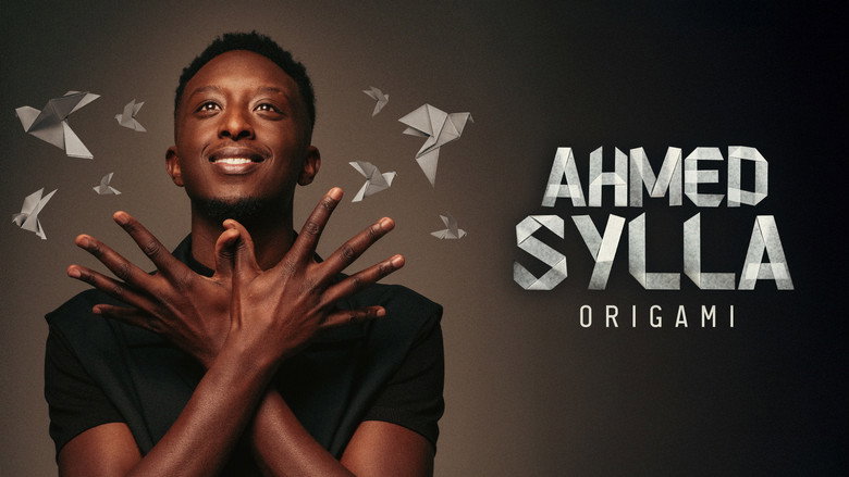 Ahmed Sylla - Origami backdrop 4