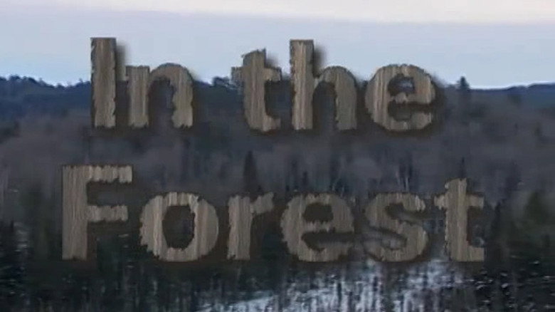 In the Forest