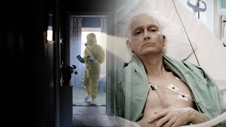Litvinenko backdrop 4