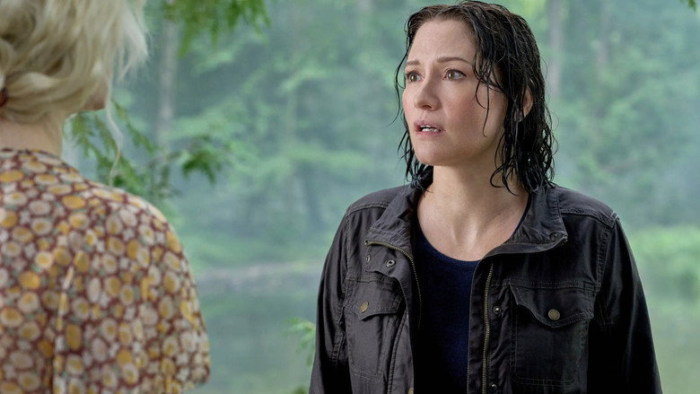 Blinded by the Light