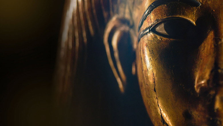 The Immortals: The Wonder of the Museo Egizio backdrop 2
