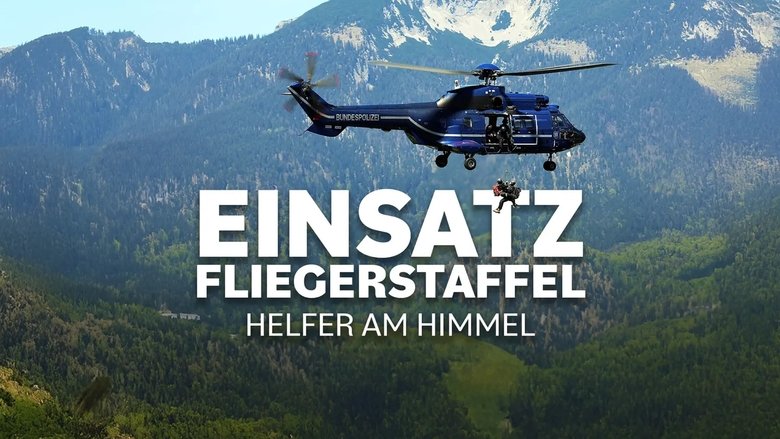 Einsatz Fliegerstaffel - Helfer am Himmel