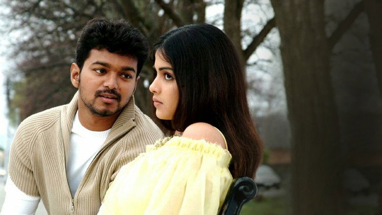 Sachein backdrop 7