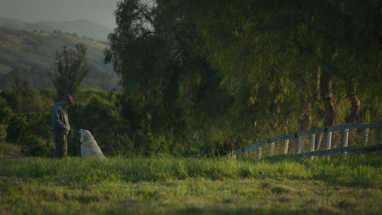 The Biggest Little Farm backdrop 5
