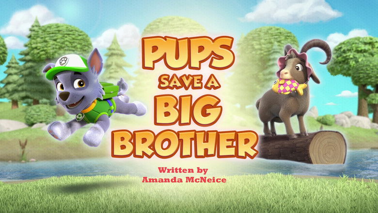 Pups Save a Big Brother