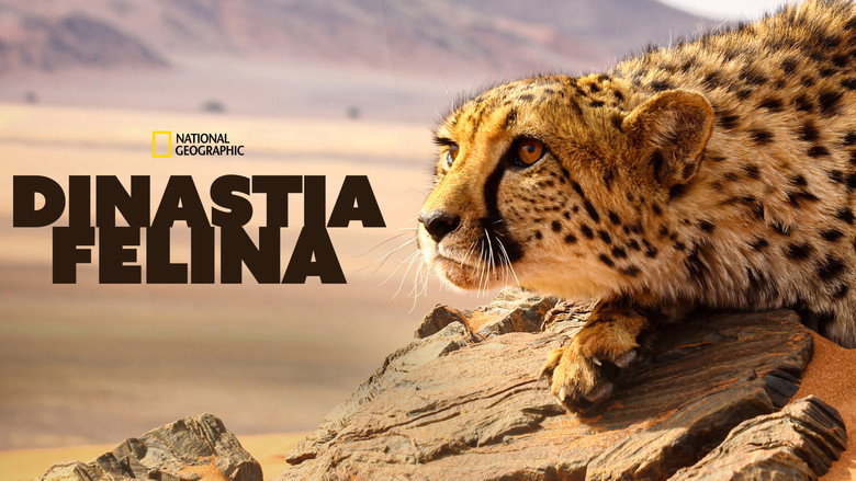 Big Cats: An Amazing Animal Family backdrop 8