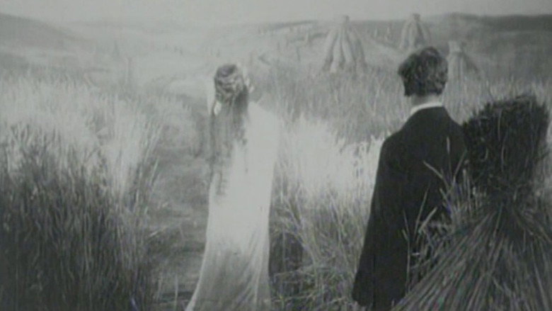 After Death backdrop 6