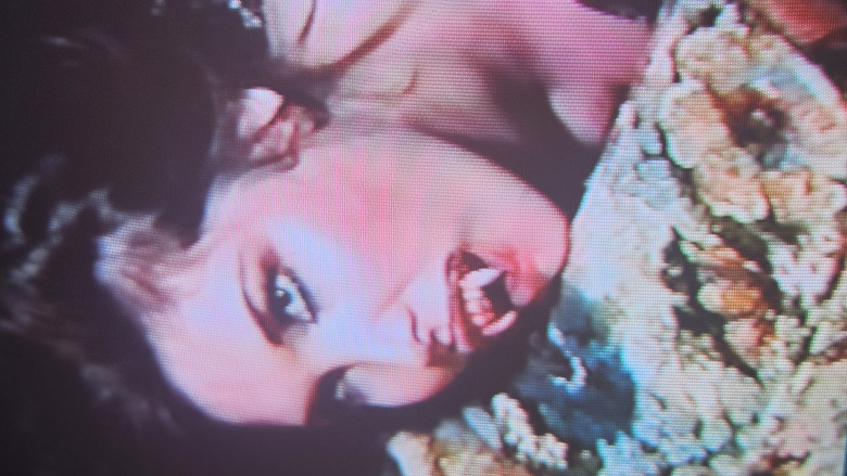 Vampire Tales backdrop 7