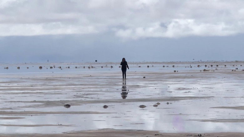 Buried in the desert