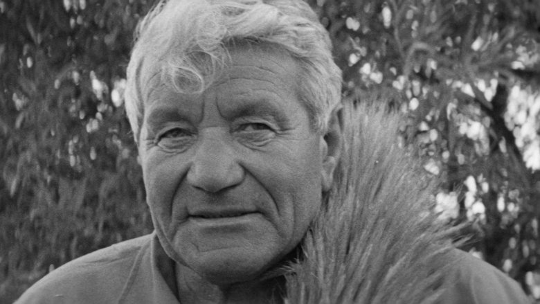 Sergejs Nikolajevs