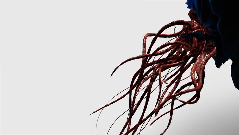 Connect backdrop 2