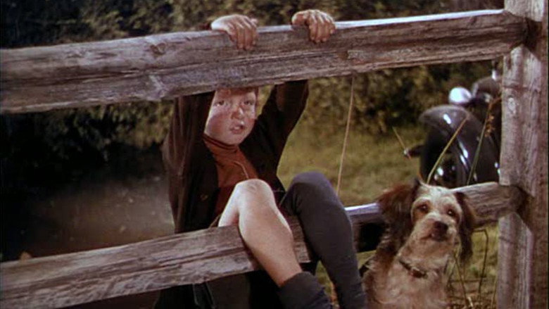 National Velvet backdrop 4