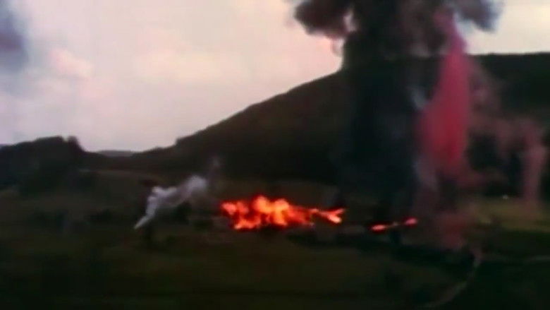 Why Did the NS Leadership Believe Jesus Was Not Jewish?