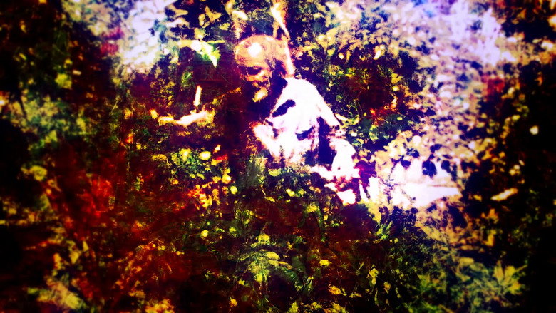 Milford Graves Full Mantis backdrop 8