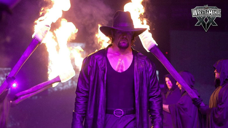 WWE WrestleMania XX backdrop 9