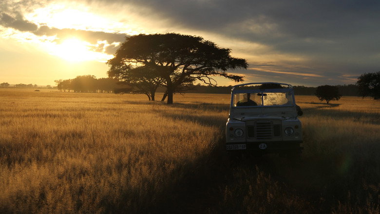 The Serengeti Rules backdrop 3