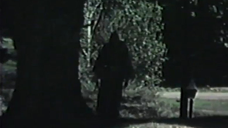 Lethal Nightmare backdrop 4