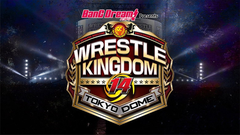 NJPW Wrestle Kingdom 14: Night 2 backdrop 7