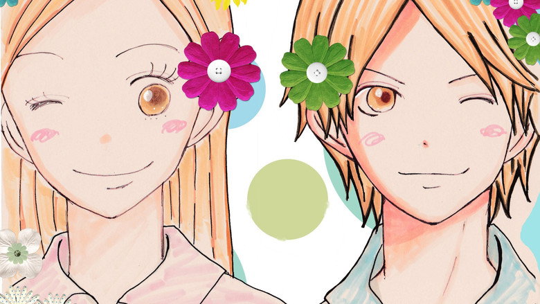 Lovely★Complex backdrop 4