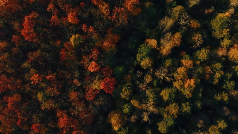 Voir l'automne, une saison en France backdrop 7