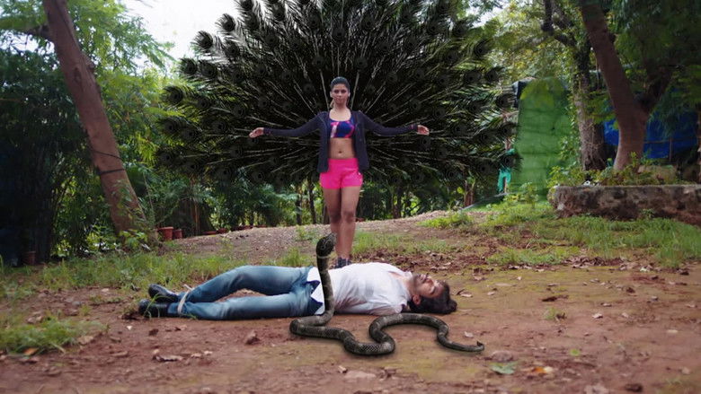 A Stranger Comes to Jay's Rescue!