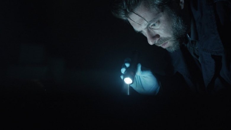 Nick Cafmeyer Collection