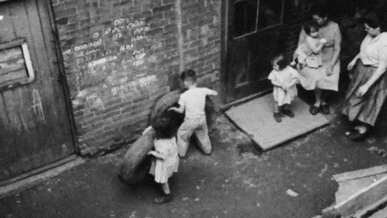 The City as Man's Home