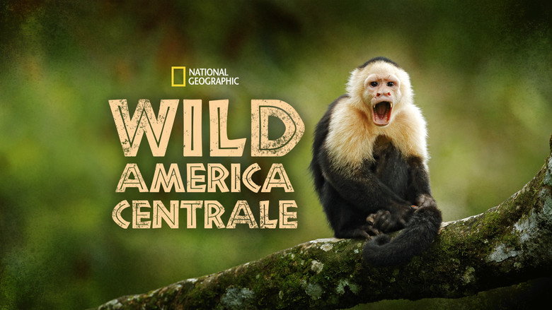 Wild Central America backdrop 6