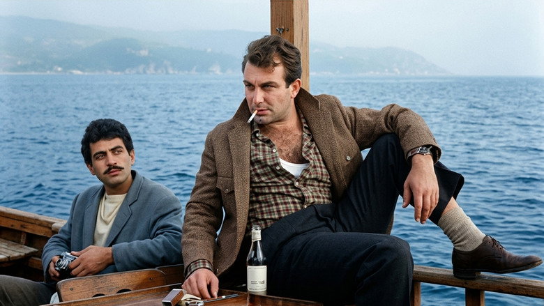 Civanmert backdrop 2