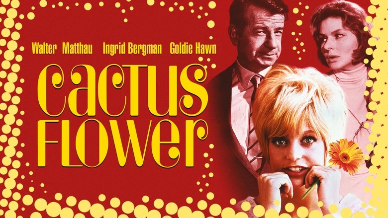 Movie Cactus Flower Poster Images, BackDrops Images, Logo Images backdrops 3 /xPljFR6nnBiaPRyevMj9QvNbZfw.jpg