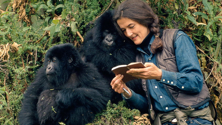 Dian Fossey: Secrets in the Mist backdrop 2