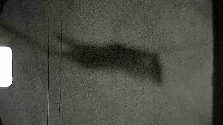 everything i saw before i returned to your side backdrop 2