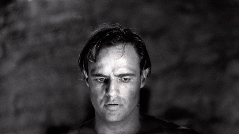 Brando backdrop 2