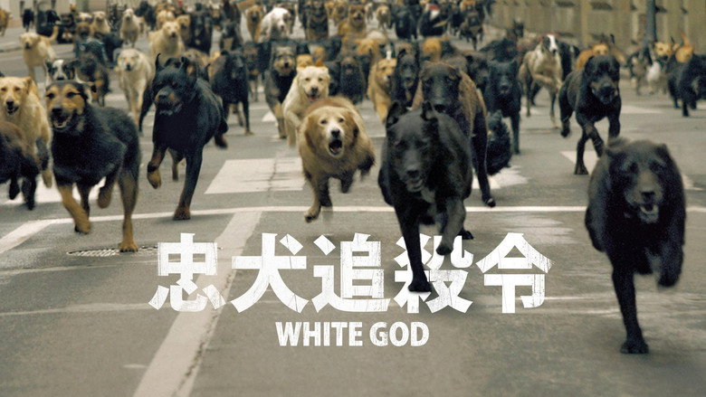 White God backdrop 5