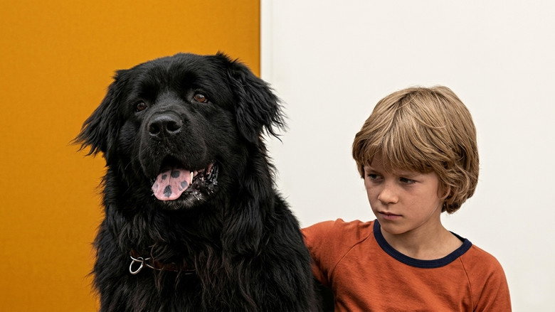 Hang on, Doggy backdrop 9