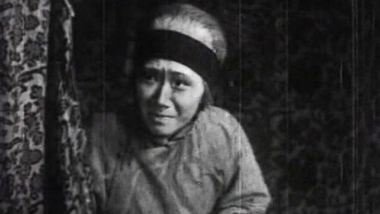 Xiaoqiu Zheng